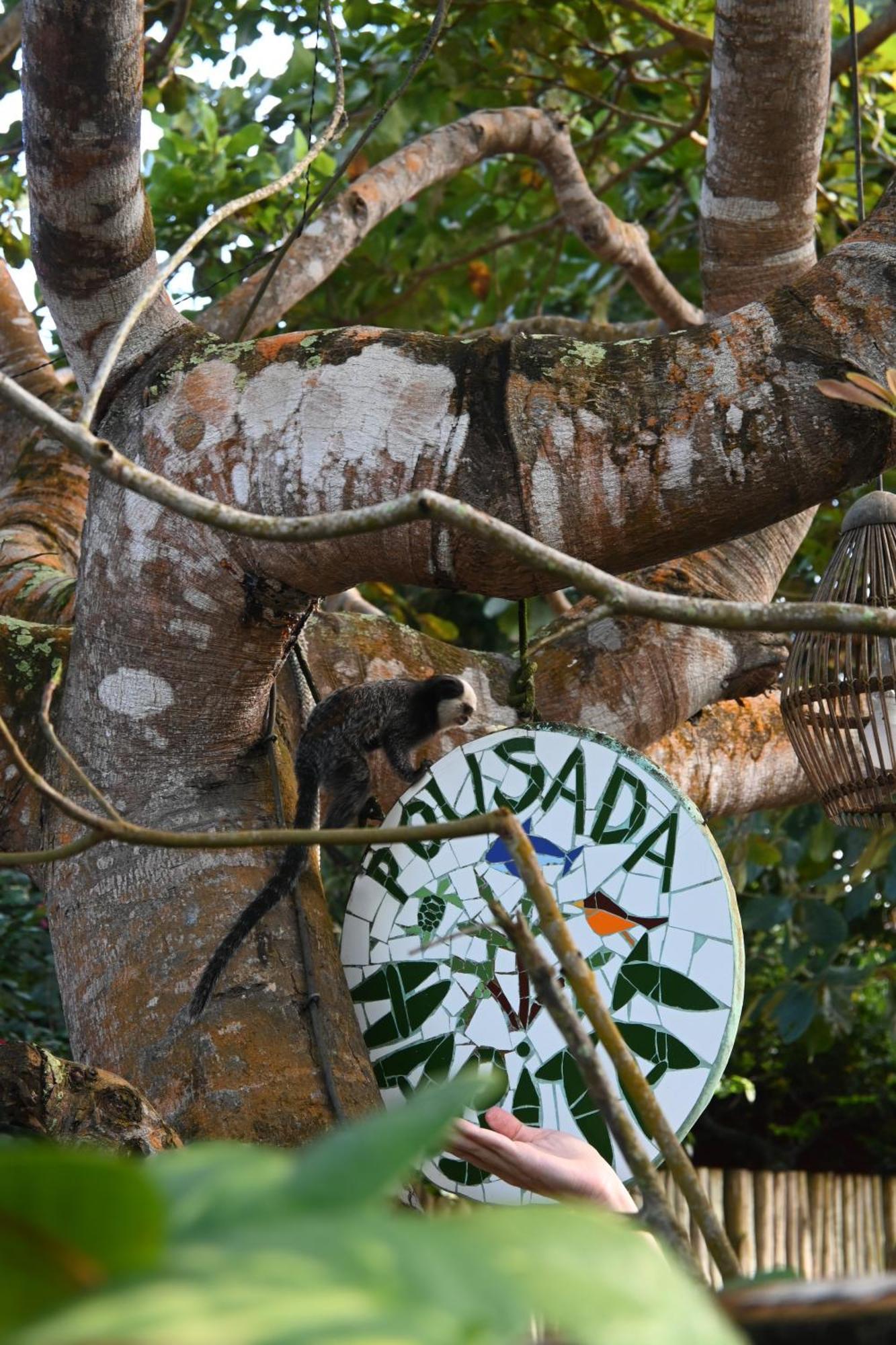 Pousada Habitat Caraiva Exterior photo
